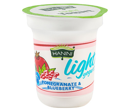 Light Yogurt Pomegranate and Blueberry